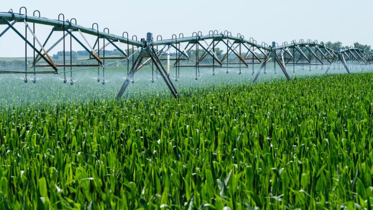Photo agricultural technology